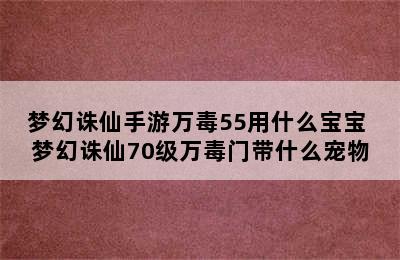 梦幻诛仙手游万毒55用什么宝宝 梦幻诛仙70级万毒门带什么宠物